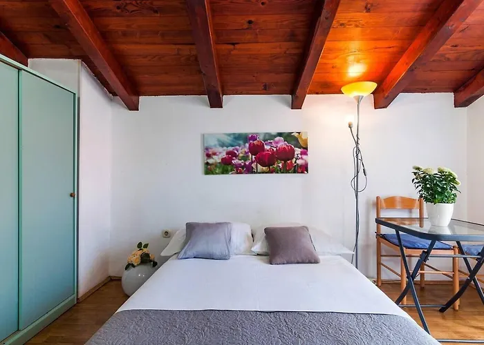 Brane Apartament