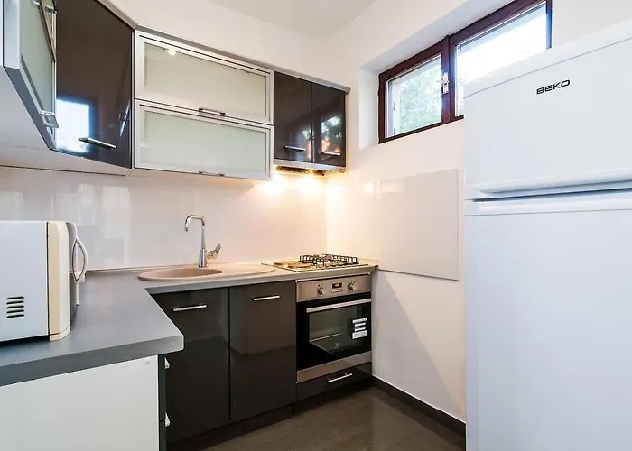 Brane Apartament *