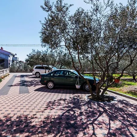 Brane - Free Parking *